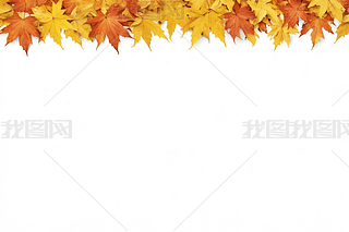 켾~ͰOӋgDƬ