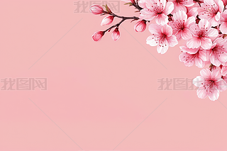 ˮL(fng)ŮѻۼtɫϢDDƬ