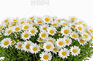 С׾rʾվվջɫ،DƬ