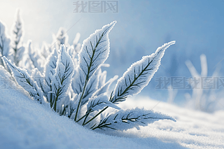 챳ѩֲ~DƬ