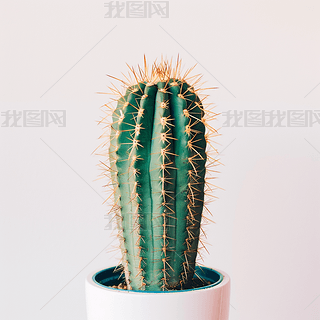 ֲ±