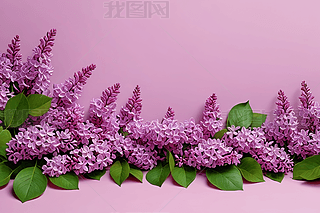 챳ģMۼtɫɫ϶㻨طDƬ