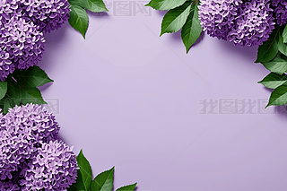 ɫ϶㻨ѩֲDƬ