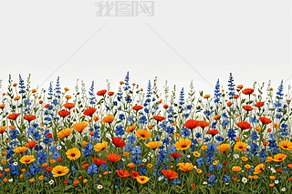 ҰrDƬ