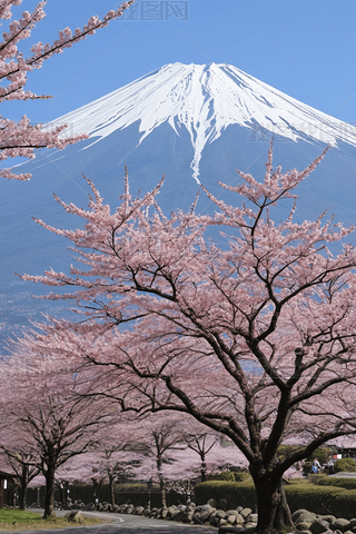 ѻʿɽDƬ