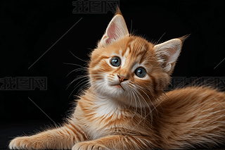 һ(g)ɐ(i)С؈ФɫDƬ