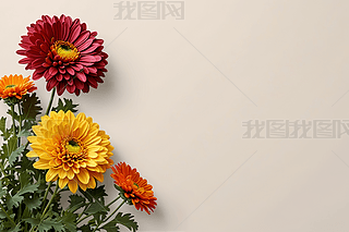 _컨DƬ