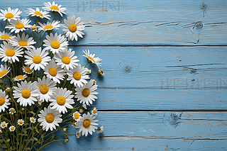 һrոʾ{(ln)ɫľ^DƬ