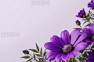 ϻ껨DƬ
