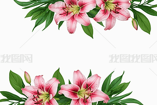 ۼtɫٺ߅rӡ(bio)ӛDDƬ