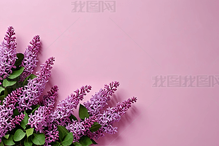 ۼtɫ϶㻨ʢ_챳DƬDƬ