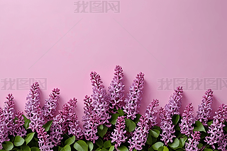 ۼtɫ϶㻨ʢ_챳DƬDƬ