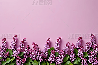 ۼtɫ϶㻨ʢ_챳DƬDƬ