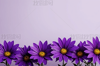 ϻ껨DƬ