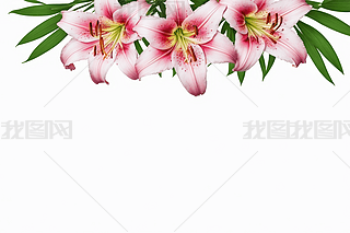 ۼtɫٺ߅rӡ(bio)ӛDDƬ