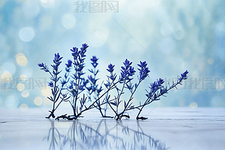 ˎƿ{ɫӲӰDƬ