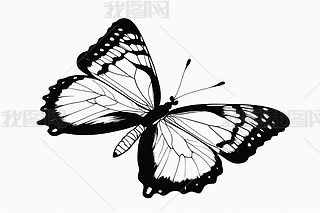 l݆DƬ