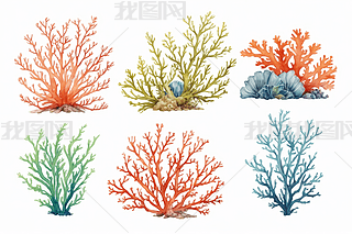 庣׺ֲﺣɺԪˮʲDDƬ