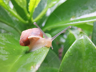 ݅΁ţo~Ƭ