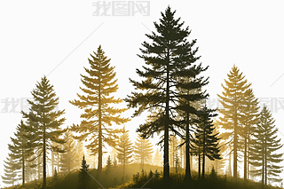 켾(ji)ӰɼɘȻֵ؈DDƬ