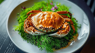 Sʢlзʳrзra(chn){(dio)ζ