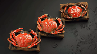 {(dio)rʳSʢзrlзζa(chn)