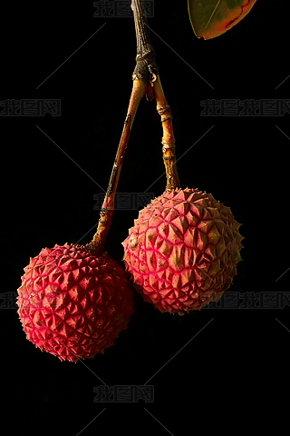 ˮ֦زĈDAID
