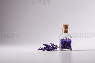 һ(g)Сƿ،(xi)޹²ݹɫDƬ