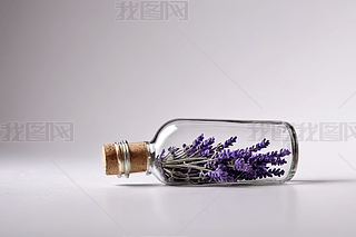 һ(g)Сƿ،(xi)޹²ݹɫDƬ