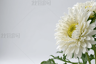 ɫǾՋ냺،DƬ