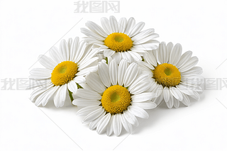 ɫʾջ(gu)ɰbO(sh)Ӌ(j)Ԫ؈DƬ