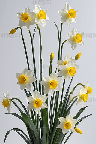 СL(fng)С(ji)ʢ_ˮɻֲ⺣(bo)DƬ