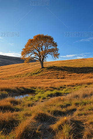 ҰһùªĘһlСϪDƬ