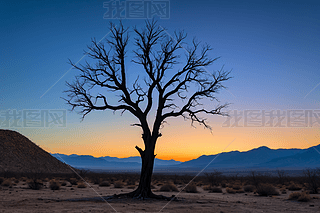 ɳĮһÿݘ(sh)zӰDƬ