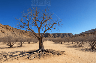 ɳĮһÿݘ(sh)zӰDƬ