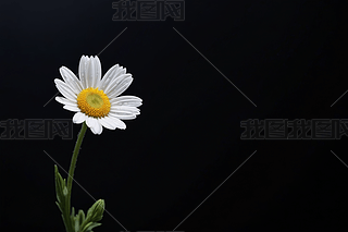 ɫٺϻʢ_꼾ڰgD