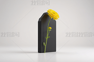 ΰ˾ɫƿӺɫ(bio)ɫ픲ɫD