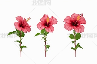 ҷۼtõ廨ٰɫ_(ki)ňD