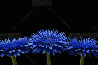 {(ln)ɫƼаl(f)⾀lӋ(j)C(j)Ϣr(sh)DƬ