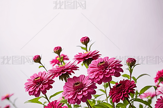 ȻL(fng)yƷO(sh)Ӌ(j)ɫƿģ͈D