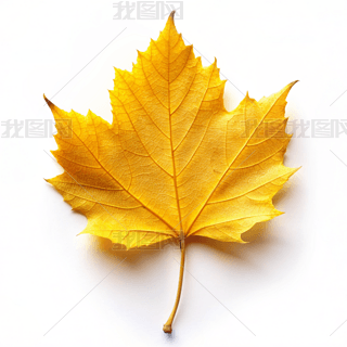 Sɫ~O(sh)ӋزĺsL(fng)zӰD