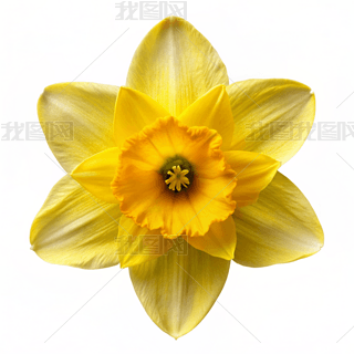 SɫˮɻֲﻨO(sh)Ӌ(j)زĺ(jin)sL(fng)zӰD