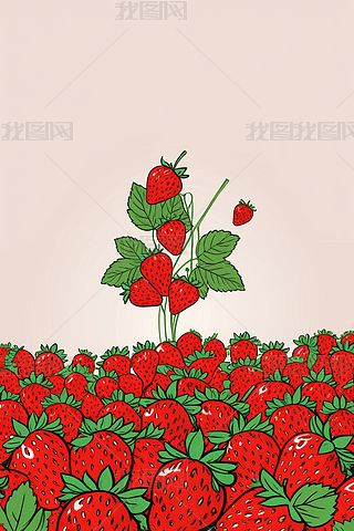 SݮgNֲ