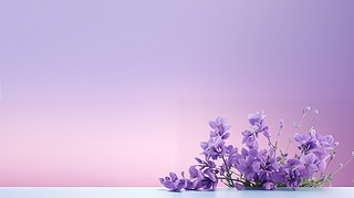 ޹²ɫa(chn)Ʒչ_̴N