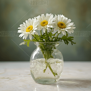 ԭ(chung)͸ƿɫջ[b廨