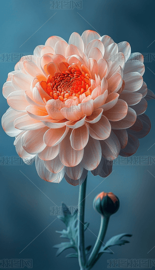 (chung)⻨΢،(xi)(4)