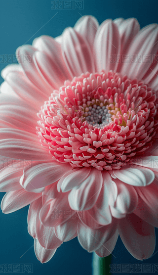 (chung)⻨΢،(xi)(2)