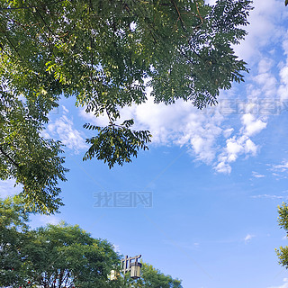 ȻL(fng){(ln)Ƙ~zӰD