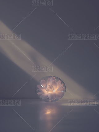 gˇg(sh)_(d)⾀ϳز