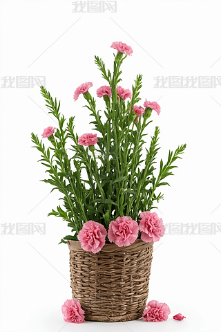 ɫһ(g)зۼtɫĻ@ӸDƬ